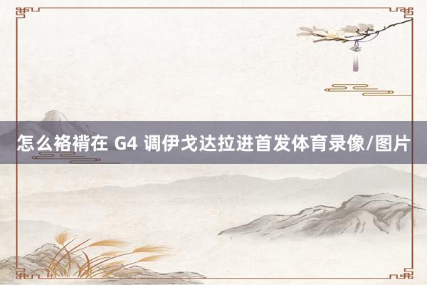 怎么袼褙在 G4 调伊戈达拉进首发体育录像/图片