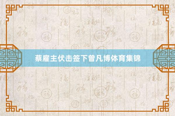 蔡雇主伏击签下曾凡博体育集锦