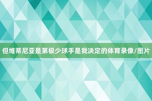 但维蒂尼亚是第极少球手是我决定的体育录像/图片
