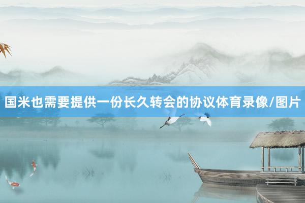国米也需要提供一份长久转会的协议体育录像/图片