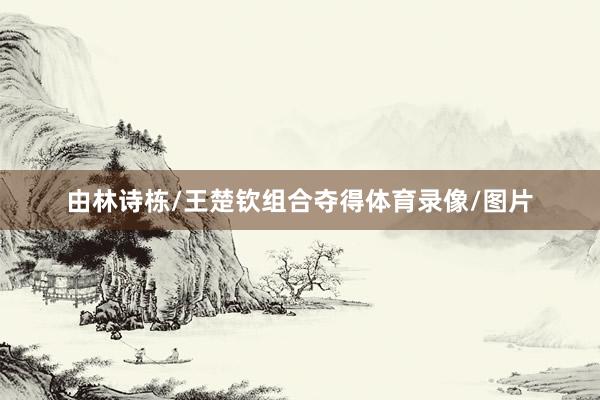 由林诗栋/王楚钦组合夺得体育录像/图片