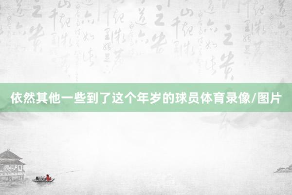 依然其他一些到了这个年岁的球员体育录像/图片