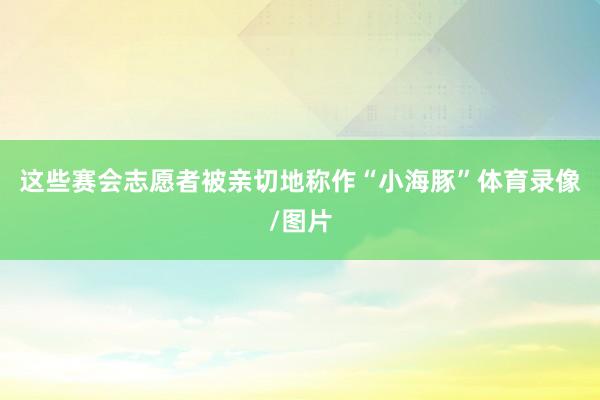 这些赛会志愿者被亲切地称作“小海豚”体育录像/图片