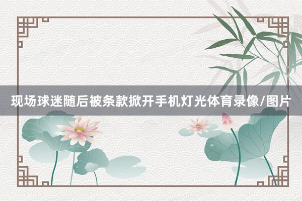 现场球迷随后被条款掀开手机灯光体育录像/图片