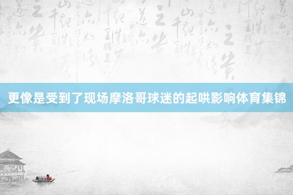 更像是受到了现场摩洛哥球迷的起哄影响体育集锦