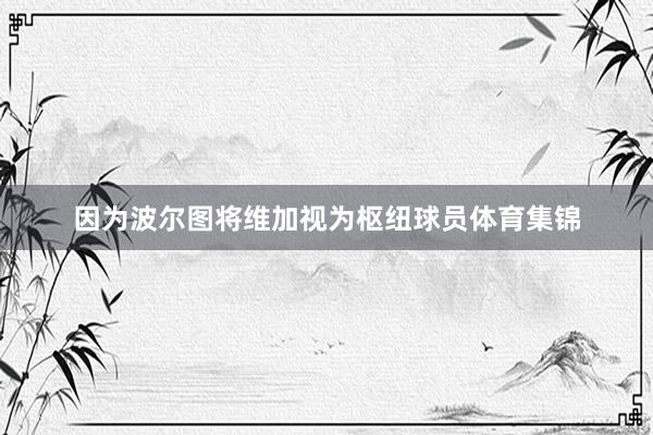 因为波尔图将维加视为枢纽球员体育集锦