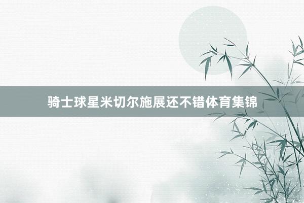骑士球星米切尔施展还不错体育集锦