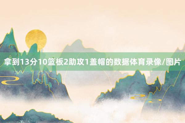 拿到13分10篮板2助攻1盖帽的数据体育录像/图片