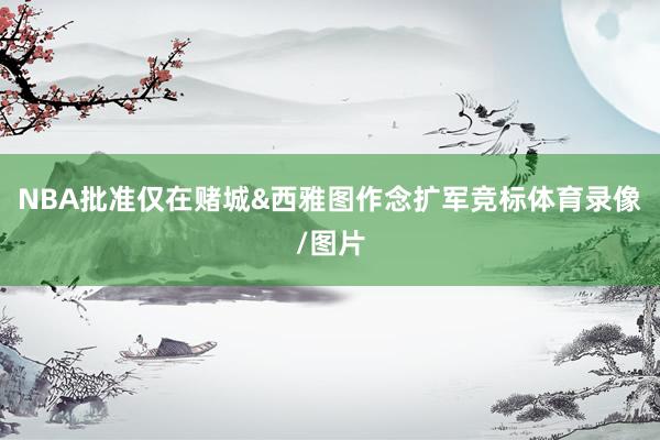 NBA批准仅在赌城&西雅图作念扩军竞标体育录像/图片
