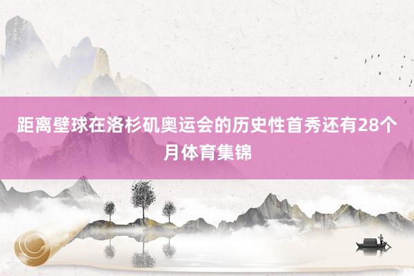 距离壁球在洛杉矶奥运会的历史性首秀还有28个月体育集锦