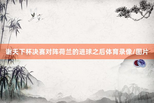 谢天下杯决赛对阵荷兰的进球之后体育录像/图片