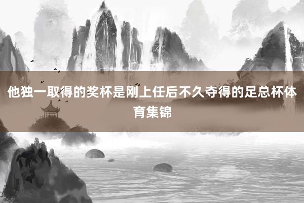 他独一取得的奖杯是刚上任后不久夺得的足总杯体育集锦
