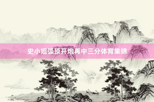 史小姐弧顶开炮再中三分体育集锦